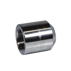 Screw-in Fitting PT BS / Boss Coupling for High Pressure PTBS-15A