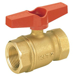 Brass General-Purpose Type 400 Screw-in Ball Valve (T-Shaped Handle) TT-15A