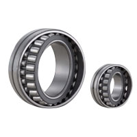 Self-Aligning Roller Bearing (Double Row)