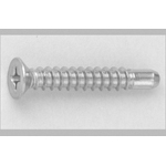 Cross Recessed Small Flat Head Tapping Screws, 2 Models with Guide, BRP Shape, G=5 D=7 CSPLCSB7-SUS-TP4-25