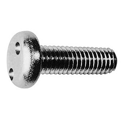 TRF/Tamper-Proof Screw, Stainless Steel, Two-Hole, Small Pot Screw CS2PNH-SUSNIROCK-M3-16