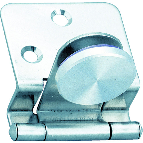 Stainless Glass Hinge