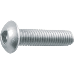 Triangular hole button bolt (stainless steel) B101-0306