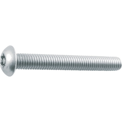 6 rob button bolt (stainless steel) B106-0316
