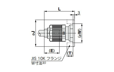 Union Flange LQ1F Inch Size: Related images