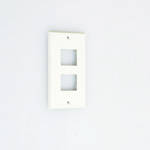 Flat-Blade Plate for Outlet, 15 A for Dual Horizontal