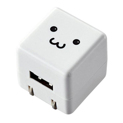 Cube-Type AC Charger (Long Life 1 A For DAP)