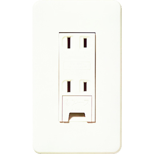 "Full Color" Embedded Outlet with Ground Terminal