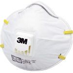 Disposable Dust Mask 8812J