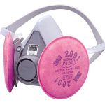 Replacement Type Dust Mask 6000/2091-RL3