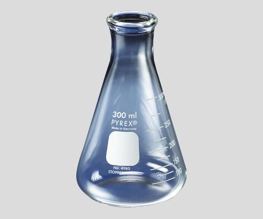 Erlenmeyer Flask (PYREX®) 2-9430-05