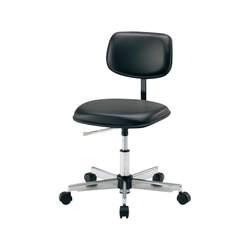 Clean Colorful Standard Chair (Supports Class 100)