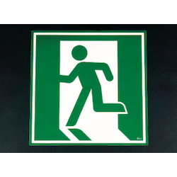 Phosphorescence Escape Sign for Door EA983AH-11