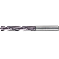 End Mill Shank Drill 5 × D with Oil Hole RT100U 5511 5511-006.100