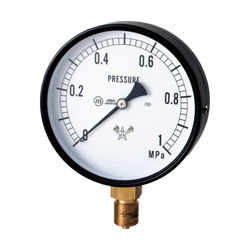 General-Purpose Pressure Gauge (Star Gauge) Without Flange (A Type) AT3/8X100X0.25MPA