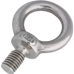 Eyebolt Made from Stainless Steel M8–M12