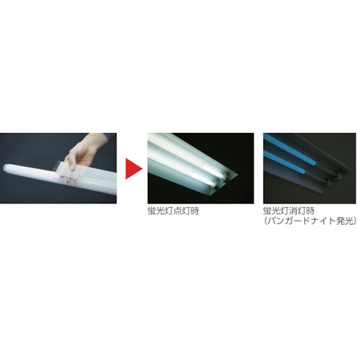 Fluorescent Lamp Phosphorescence System Vanguard Night