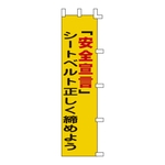 Banner "'Declaration of Safety' Make Sure Your Seatbelt is fastened correctly" Banner -5