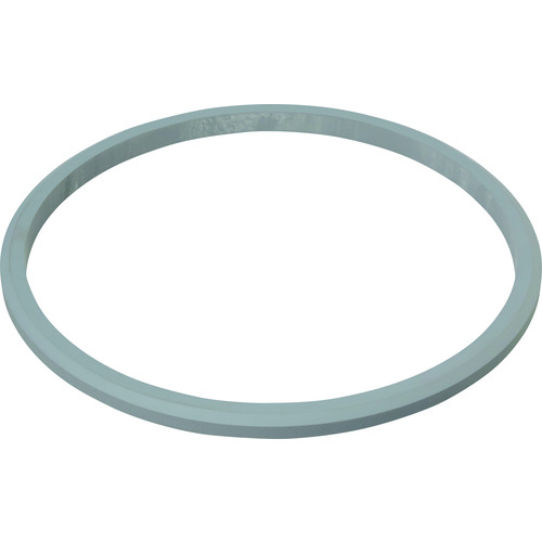 Large Stainless Steel Filter Housing, Gasket/O-ring (for 5DCN)