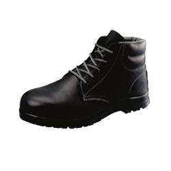 Safety Shoes TS3022R