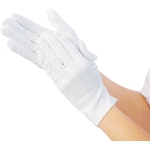 Static Electricity Prevention Gloves (10-pair set) TPG-118L