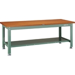 Medium Work Bench with Lower Shelf Average Load (kg) 2000 DW-1200LT