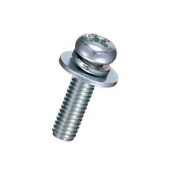 Pan-Head Set Screw (With SW / PW [Large]) / F-0000-S2E