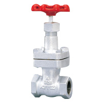 20K Gate Valve Screw-In, General Purpose Ductile Iron