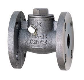 Stainless Steel General-Purpose 10K Swing Check (SCS14A) Valve Flange