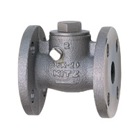 Stainless Steel General-Purpose 10K Swing Check (SCS13A) Valve Flange UOB-80A