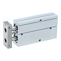 B series cylinder with attached alpha series twin rod and drive equipment guide. ATBDA10X30