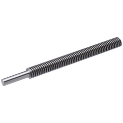 Lead Screws-One End Stepped