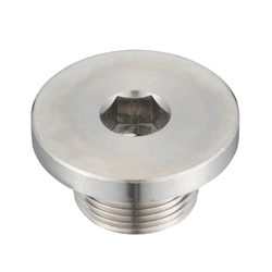 Hex Socket Screw Plug With Flange_SFM/SFMS