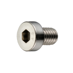 Low-Profile Head Bolt With Hex Socket Head (With Gas Vent Hole) SVLS SVLS-M5X20