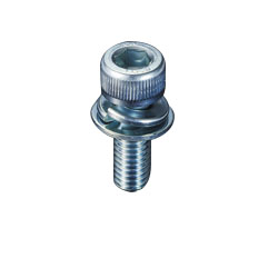 Hex Socket Head Cap Bolts With Embedded Washer CSW-06-18