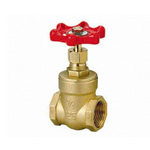 Gate Valve