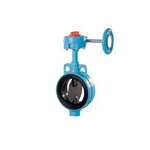 Butterfly Valve 602A-G (Gear Type), Rubber Seated 602A-G-4B-5K