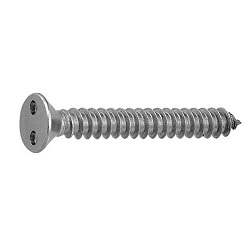 TRF/Tamper-Proof Screw, Stainless Steel, Two-Hole, Plate Tapping Screw (4 models, AB type) CS2CST-SUS-TP4.8-63