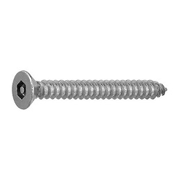 TRF/Tamper-Proof Screw, Stainless Steel Pin with Hexagonal Hole, Small Plate Tapping Screw (4 models, AB type) CSRCST-SUS-TP3.5-10