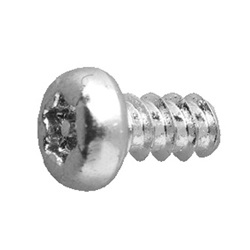 TRF/Tamper-Proof Screw, Iron Pin, TRX, B Type, Nut