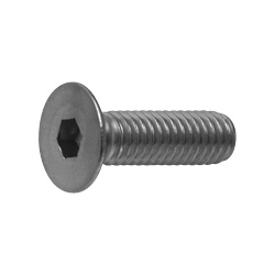 Steel Hex Socket Head Bolt (Plate Cap Screw) (JIS Standard) CSHCSH-ST-M5-12