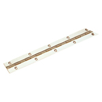 Long Hinge for Installation in Bus Interiors B-807 B-807-GOLD