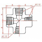 PT Connection Screw Down Female Cross