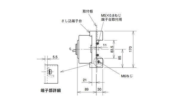 Inserted Type