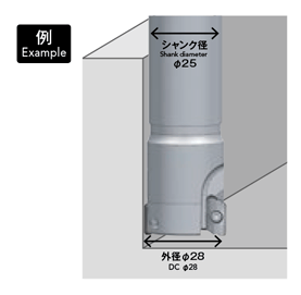 Selection support 10 of Phoenix series, PSE insert for shoulder milling