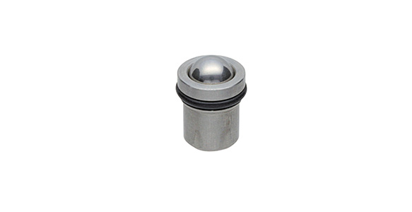 Stainless Steel Case Plunger With O-Ring (SBPR): related image