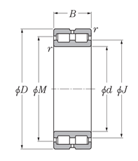 SL type cylindrical roller bearing, drawing_SL02