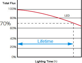 Life Figure