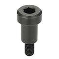 Bearing Shaft Screws