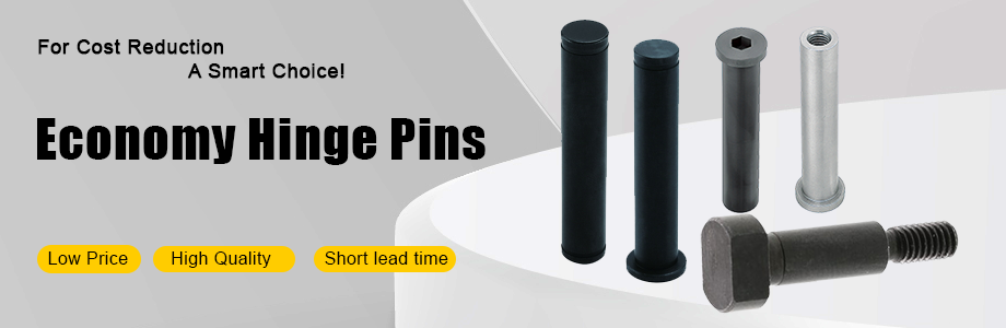 Economy Hinge Pins